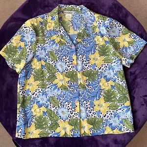 Briggs XL Blue and Green button down blouse.
